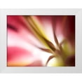 thumbnail image 1 of Nourock, Jonathan 24x19 White Modern Wood Framed Museum Art Print Titled - Macro Stargazer I, 1 of 4