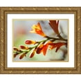 thumbnail image 1 of Nourock, Jonathan 32x25 Gold Ornate Wood Framed with Double Matting Museum Art Print Titled - Open Sunshine II, 1 of 4