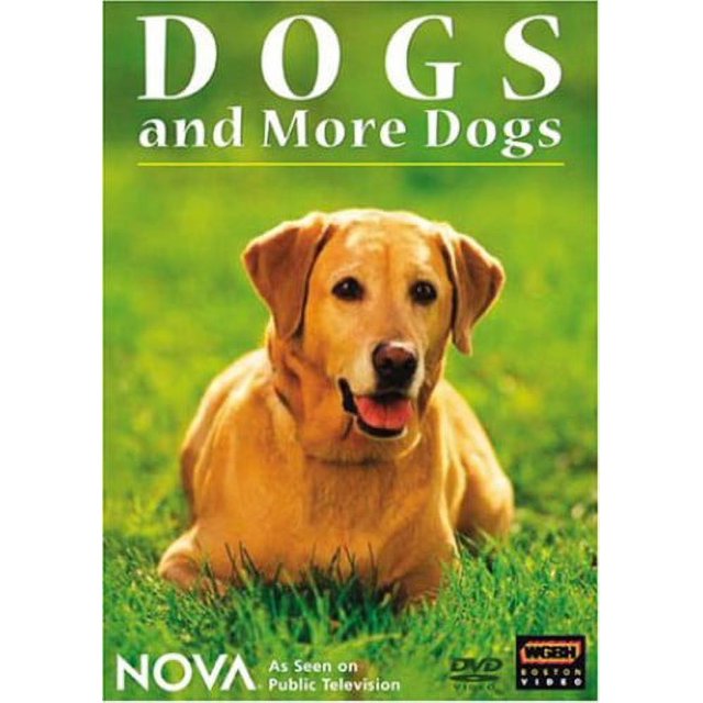 Nova Dogs & More Dogs Dogs and More Dogs Music & Performance DVD