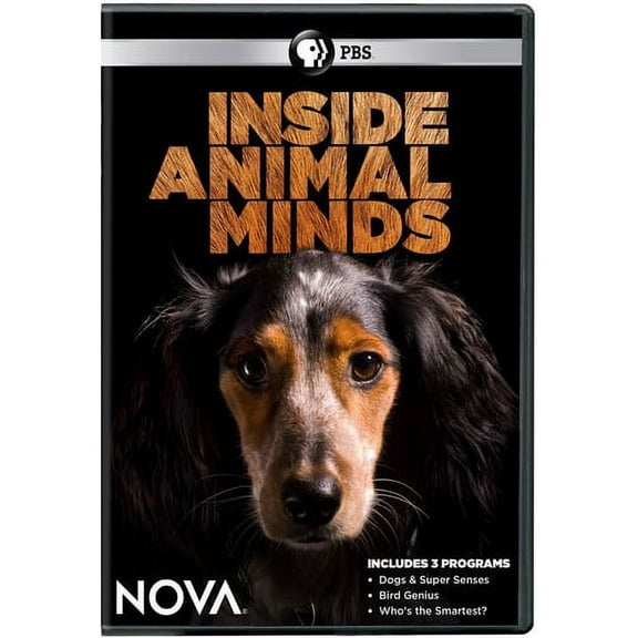 Nova: Inside Animal Minds (DVD)