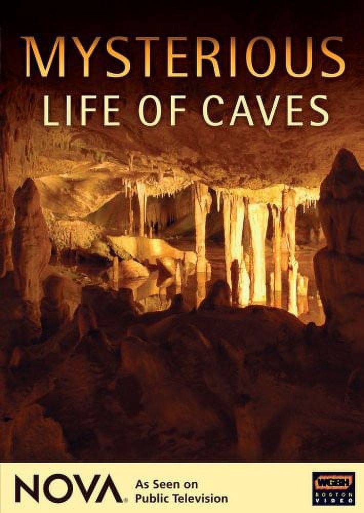 Nova: Mysterious Life of Caves (DVD) - image 1 of 1