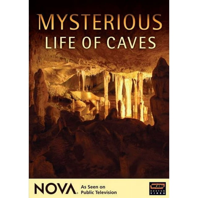 Nova: Mysterious Life of Caves (DVD)