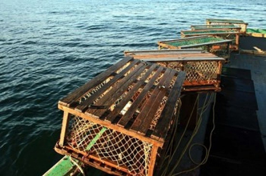 Nova Scotia Cape Breton Lobster Traps Canvas Art - Patrick J Wall DanitaDelimont (36 x 24)