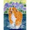 thumbnail image 1 of Nova Scotia Duck Toller House Size Canvas Flag, 1 of 1
