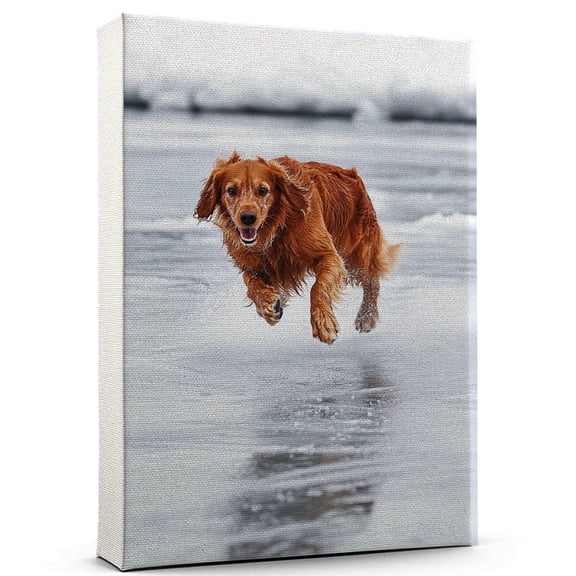 Nova Scotia Duck Tolling Retriever Dog Stretched Canvas Size 8x12 Ice Hockey Canvas – Funny Nova Scotia Duck Tolling Retriever Dog Team Player Wall Art, Ideal Gift Ice Hockey , Dog Owner