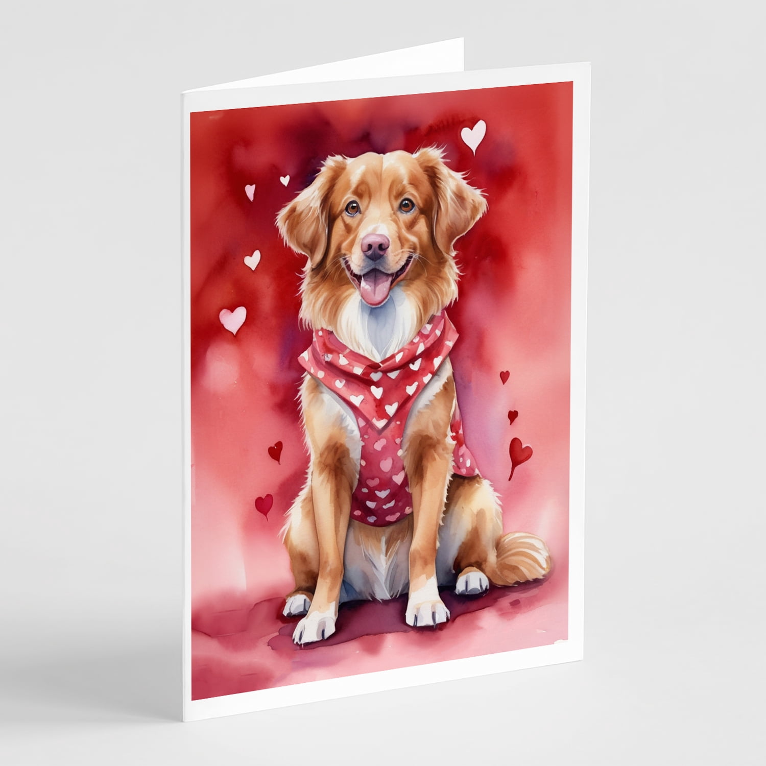 Nova Scotia Duck Tolling Retriever My Valentine Greeting Cards Pack of 8 7 in x 5 in