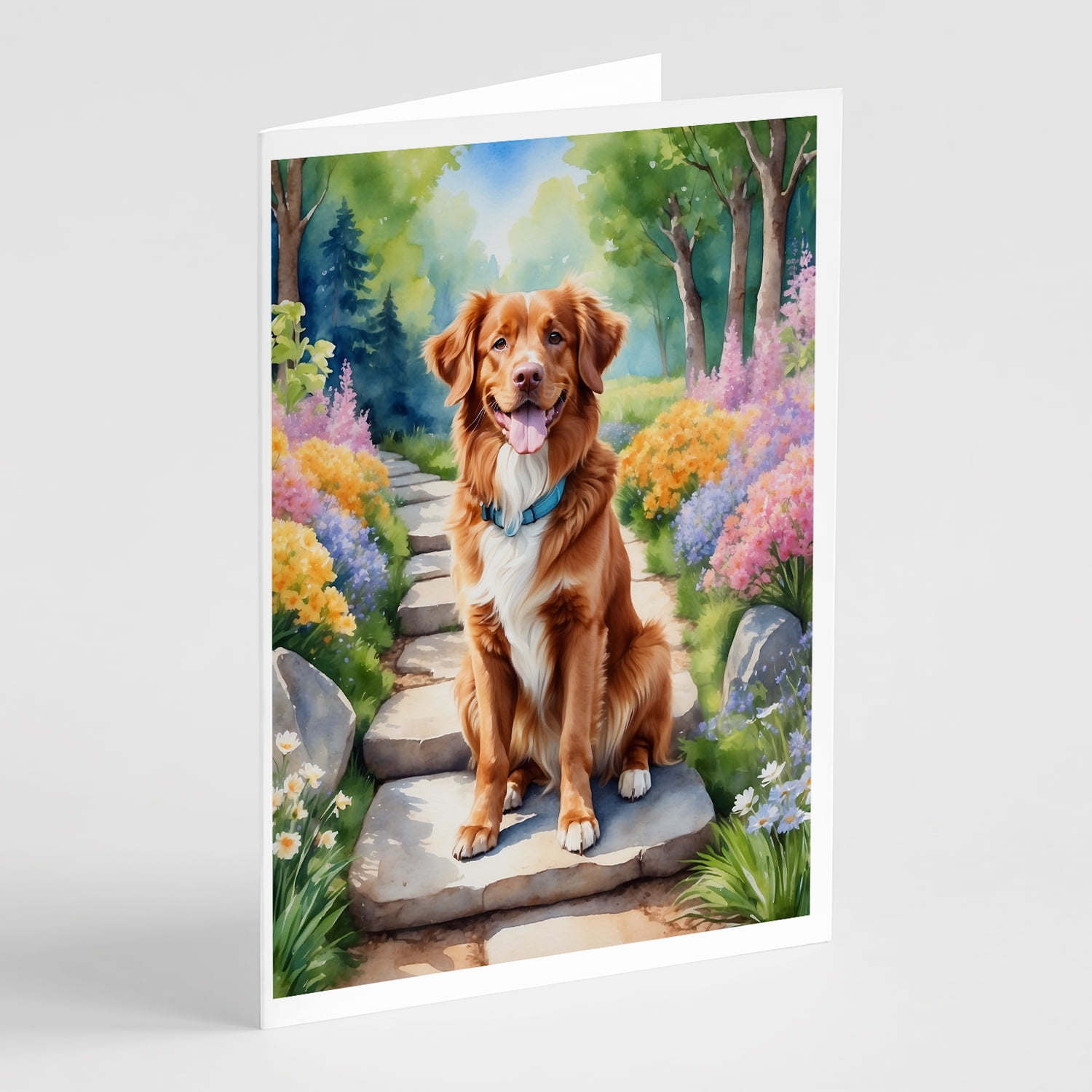 Nova Scotia Duck Tolling Retriever Spring Path Greeting Cards Pack of 8 7 in x 5 in
