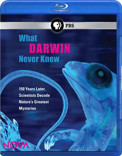 今話題のアイテムを Nova: Walmart.com - (Blu-ray) Knew Never Darwin What その他