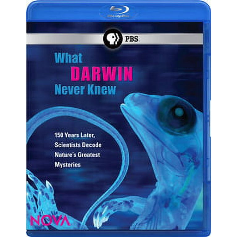 その他 Nova: What Darwin Never Knew [Blu-ray] Nova: What Darwin Never Knew (Blu-ray) - Walmart.com