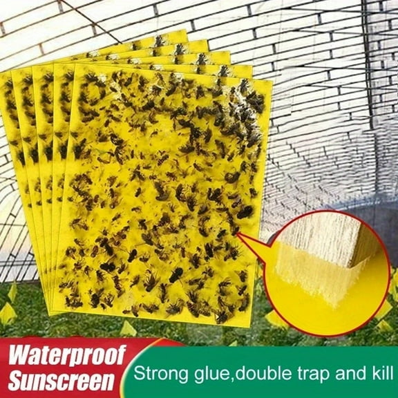NovaStitch 20Pcs Double Sided Sticky Insect Traps Yellow Sticky Bug Catcher for Flying Pests Indoor Outdoor Plant Fungus Gnat Trap Garden Greenhouse