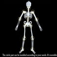 thumbnail image 1 of NovaStitch Halloween Skeleton Glow-in-the-Dark Prop Full Body Hanging Bones Figure with Skull and Ribcage HalloweenDecorations Indoor Yard Wall Decor Night Light Skeleton Ornament, 1 of 8
