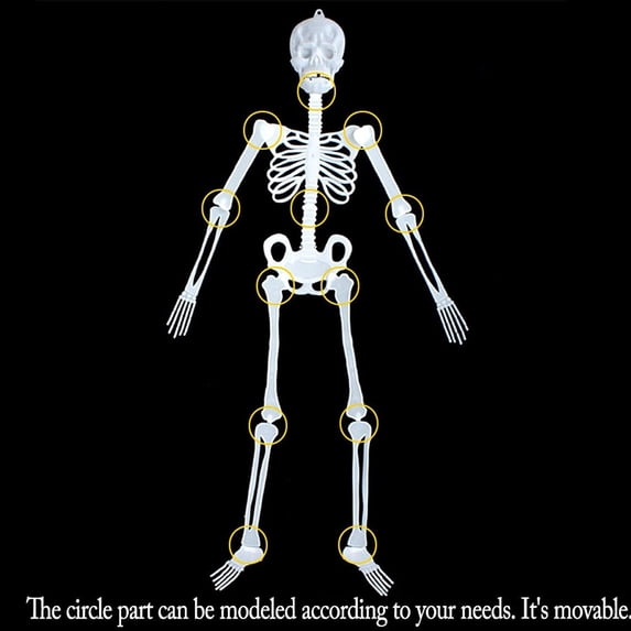 NovaStitch Halloween Skeleton Glow-in-the-Dark Prop Full Body Hanging Bones Figure with Skull and Ribcage HalloweenDecorations Indoor Yard Wall Decor Night Light Skeleton Ornament