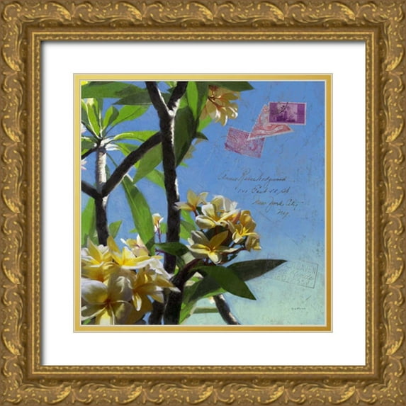 Novak, Rick 12x12 Gold Ornate Wood Framed with Double Matting Museum Art Print Titled - Plumeria and Postage IV