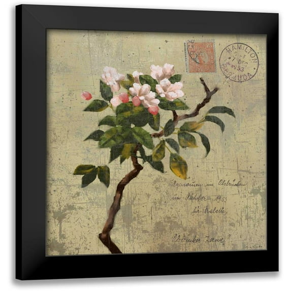 Novak, Rick 15x15 Black Modern Framed Museum Art Print Titled - Postage I