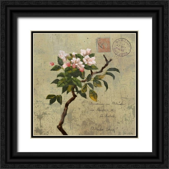 Novak, Rick 15x15 Black Ornate Wood Framed with Double Matting Museum Art Print Titled - Postage I