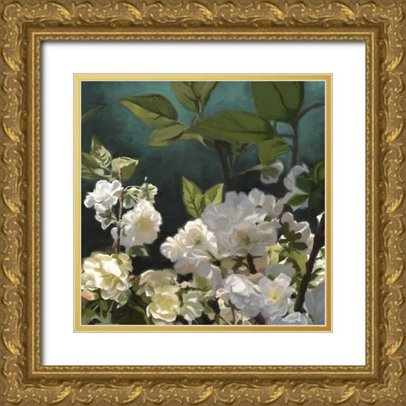 Novak, Rick 15x15 Gold Ornate Wood Framed with Double Matting Museum Art Print Titled - White Roses I
