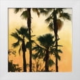 thumbnail image 1 of Novak, Rick 26x26 White Modern Wood Framed Museum Art Print Titled - Morning Palm Tree I, 1 of 4