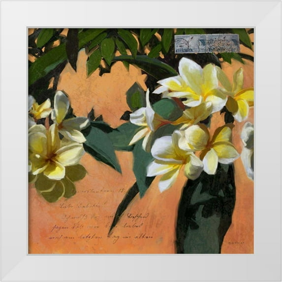 Novak, Rick 26x26 White Modern Wood Framed Museum Art Print Titled - Plumeria and Postage I