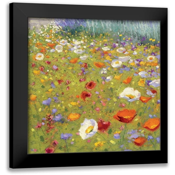 Novak, Shirley 12x12 Black Modern Framed Museum Art Print Titled - Champ de Fleur II