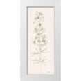 thumbnail image 1 of Novak, Shirley 12x24 White Modern Wood Framed Museum Art Print Titled - Delphinium I, 1 of 4