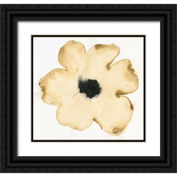 Novak, Shirley 16x15 Black Ornate Wood Framed with Double Matting Museum Art Print Titled - Suede Fleur II