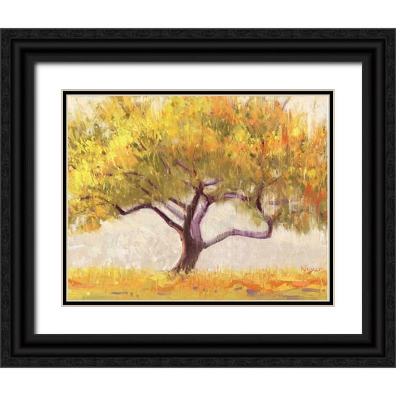 Novak, Shirley 24x20 Black Ornate Wood Framed with Double Matting Museum Art Print Titled - Apricot Tree
