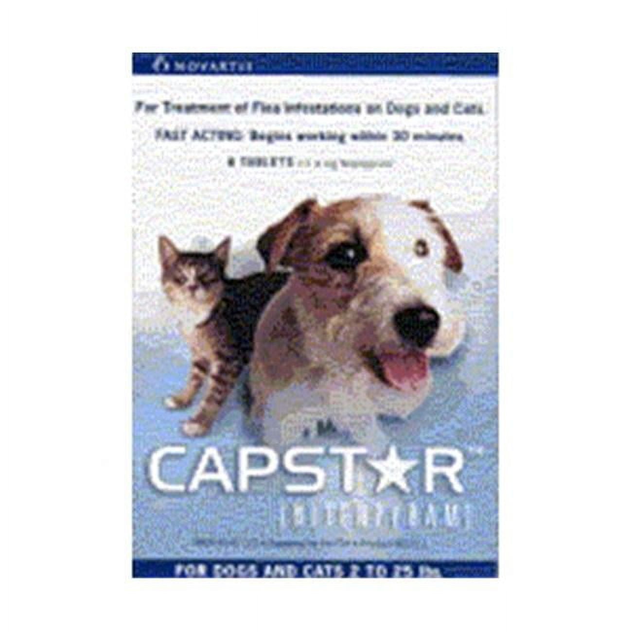 Novartis capstar flea tablets for dogs online