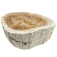 thumbnail image 1 of Novatto NOSV-FW Natural Petrified Fossil Wood Vessel Sink, Irregular Shape and Color, 1 of 4