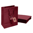 thumbnail image 1 of Novel Box 10 Pack Burgundy Gift Bags with Handles 8x4x10 Inch - Shopping Bag for Birthday Business, 1 of 8