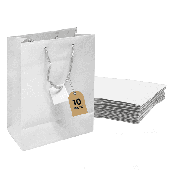 Novel Box 10 pack White Gift Bags with Handles 4.75x3.25x6.75 Inches - Shopping Bag for Groceries