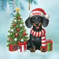 thumbnail image 1 of Novelty Black Dachshund Christmas Tree Ornament Gift for Men Women Dog Lover, Personalized Name Black Dachshund Dog Shaped Xmas Ornament 2025, Customized Dogs Puppy Owners Hanging Ornaments with Name, 1 of 5