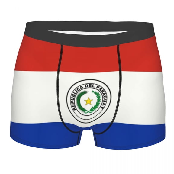 Novelty Flag Of Paraguay Boxers Shorts Panties Men's Underpants Breathbale Briefs Underwear