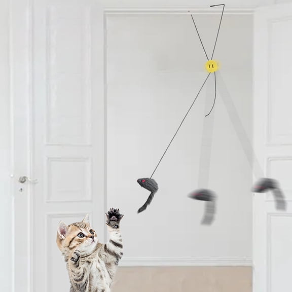 Novelty Interactive Cat Toy, Cat Chaser Mouse Toy Mouse Toys Cat Toy