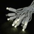 thumbnail image 1 of Novelty Lights 50 Light LED Twinkle Christmas LED Mini Light Set, Outdoor Curtain Fairy Wedding String Lights, Non-Connectable, Warm White, White White, 7 Feet, 1 of 7