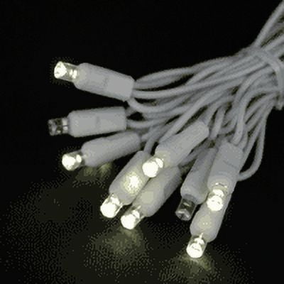 Novelty Lights 50 Light LED Twinkle Christmas LED Mini Light Set, Outdoor Curtain Fairy Wedding String Lights, Non-Connectable, Warm White, White White, 7 Feet