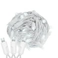 thumbnail image 1 of Novelty Lights 50 Light Pure White LED Christmas Mini Light Set (White Wire, 11 feet), 1 of 6