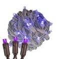 thumbnail image 1 of Novelty Lights 50 Light Purple LED Christmas Mini Light Set (Brown Wire, 11 Feet), 1 of 8
