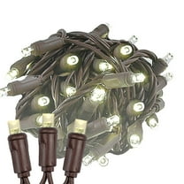 Novelty Lights 50 Light Warm White LED Christmas Mini Light Set (Brown Wire, 11 Feet)