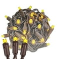 thumbnail image 1 of Novelty Lights 50 Light Yellow LED Christmas Mini Light Set (Brown Wire, 25 Feet), 1 of 8
