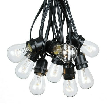 Novelty Lights Clear Incandescent Edison Outdoor String Lights with 25 Bulbs S14 Vintage Bulbs Black Wire 37.5 Feet