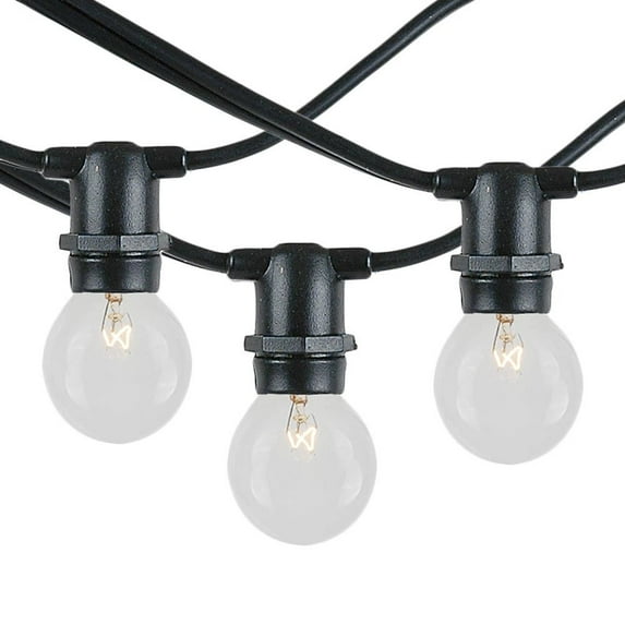 Novelty Lights Clear Incandescent Globe Outdoor String Lights with 25 Bulbs G30 Vintage Bulbs Black Wire 25 Feet