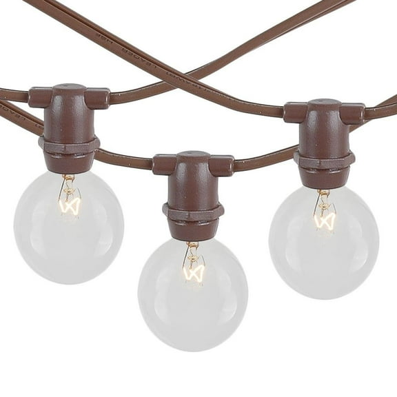 Novelty Lights Clear Incandescent Globe Outdoor String Lights with 25 Bulbs G40 Vintage Bulbs Brown Wire 25 Feet