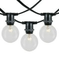 thumbnail image 1 of Novelty Lights Clear Incandescent Globe Outdoor String Lights with 25 Bulbs G50 Vintage Bulbs Black Wire 25 Feet, 1 of 8
