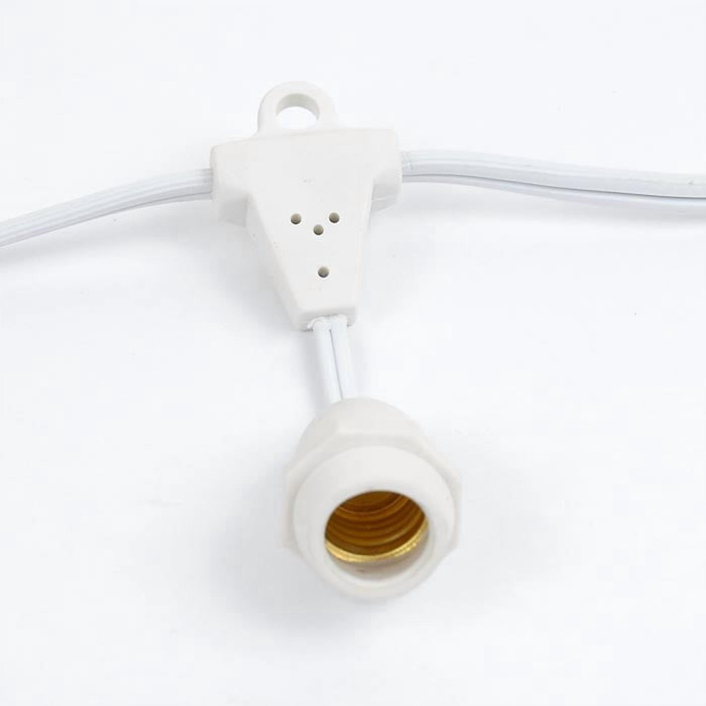 Socket String Edf Novelty Lights E17 Intermediate Base 100 Bulbs Socket String Suspended ...
