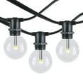 thumbnail image 1 of Novelty Lights G40 Warm White LED Globe Outdoor String Lights with 100 Bulbs Vintage Bulbs Black Wire 100 Feet, 1 of 7