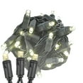 thumbnail image 1 of Novelty Lights Warm White 100 LED Christmas Mini Light Set (Black Wire, 34 Feet), 1 of 7