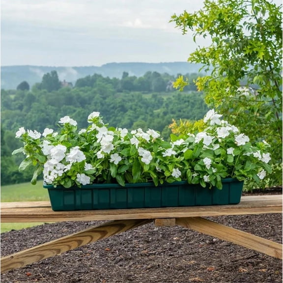 Novelty Poly-Pro Indoor/Outdoor Plastic Planter Box Liner, Green, 36in