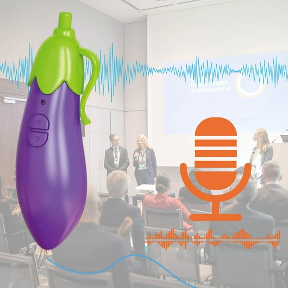 Novelty Recorder Pen with 20-Second Playback, Fun Shape Ballpoint Pen for Voice Message and Note Taking(Purple)