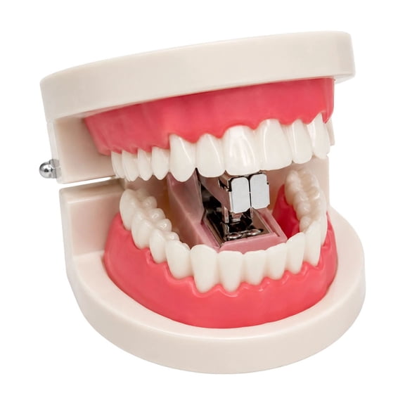 Novelty Stapler Denture Shaped Desk Tool Funny Office Tool for Desk, Gag Gift