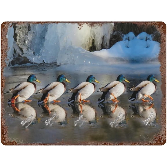 Novelty Tin Sign Duck God Says You Are Wall Art - Inspirational Quote Sign - Psalms, Bible Verses, Scripture Wall Decor - Religious Encouragement Gifts - Home Living Room Office Posters 5.5"x8"